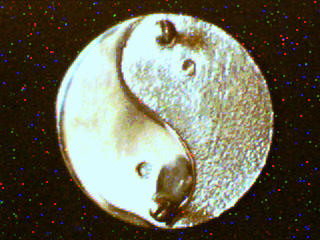 yy